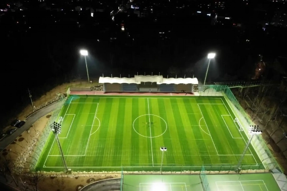 Baseline Perspective Capture